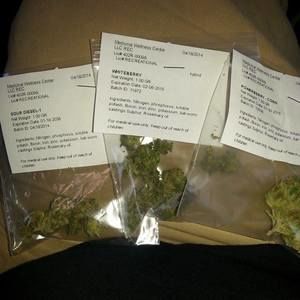 Meet your Posher, Gustavo